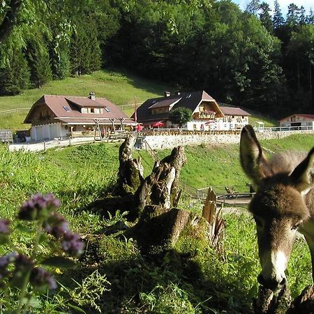 Ferienwohnung Hochsteinalm Траункирхен Екстериор снимка