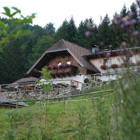 Ferienwohnung Hochsteinalm Траункирхен Екстериор снимка