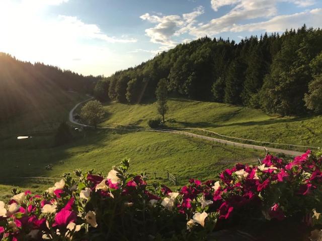 Ferienwohnung Hochsteinalm Траункирхен Екстериор снимка