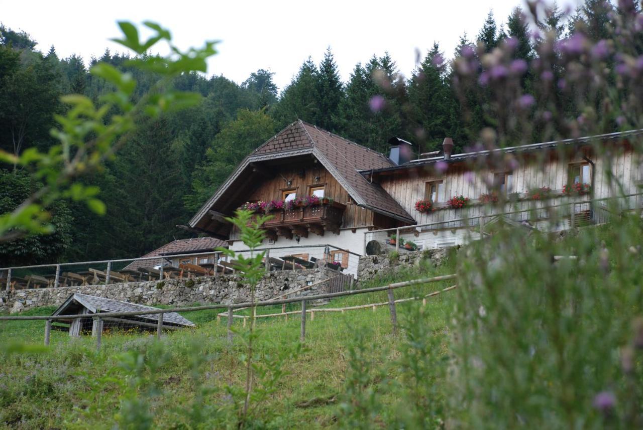 Ferienwohnung Hochsteinalm Траункирхен Екстериор снимка
